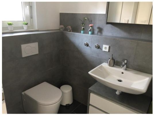 Ferienwohnung Bodensee Nenzingen Hegau Orsingen-Nenzingen 외부 사진